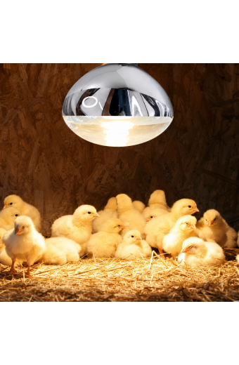 Lâmpada Infravermelha 250w E27 Para Secagem Luz Branco-quente 220v
