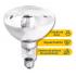 Lâmpada Aquecedora Para Pintinho E Porco 250w 110v Kit Com 3